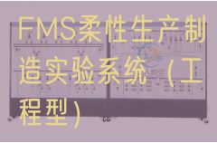FMS柔性生產(chǎn)制造實(shí)驗(yàn)系統(tǒng)(工程型)(圖1) FMS柔性生產(chǎn)制造實(shí)驗(yàn)系統(tǒng)(工程型)(圖1)